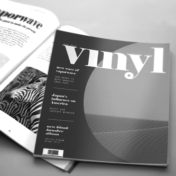 Vinyl Magazine cover with a bit of an article showing.